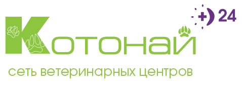 Сеть ветеринарных центров и груминг студий красоты для животных 'Котонай' Hair transplantation