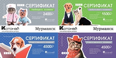 Сертификат Мурманск Сертификат Мурманск
