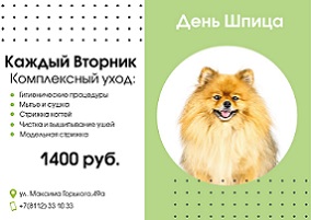 Акция Йорк и Шпиц Акция Йорк и Шпиц