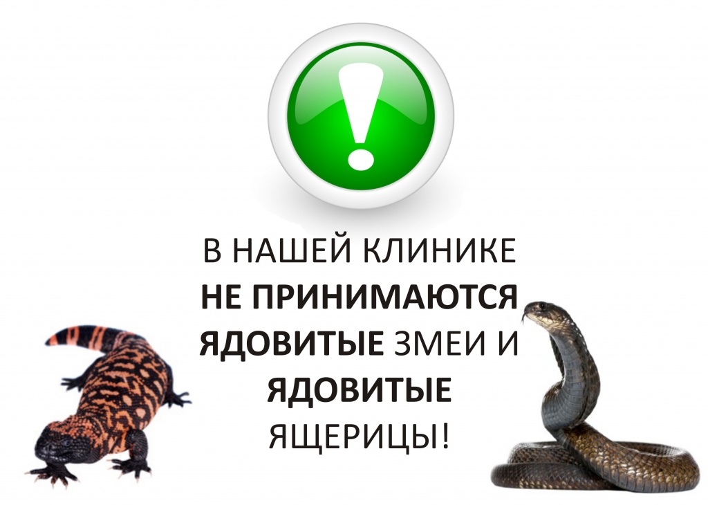 предупреждение.jpg предупреждение.jpg